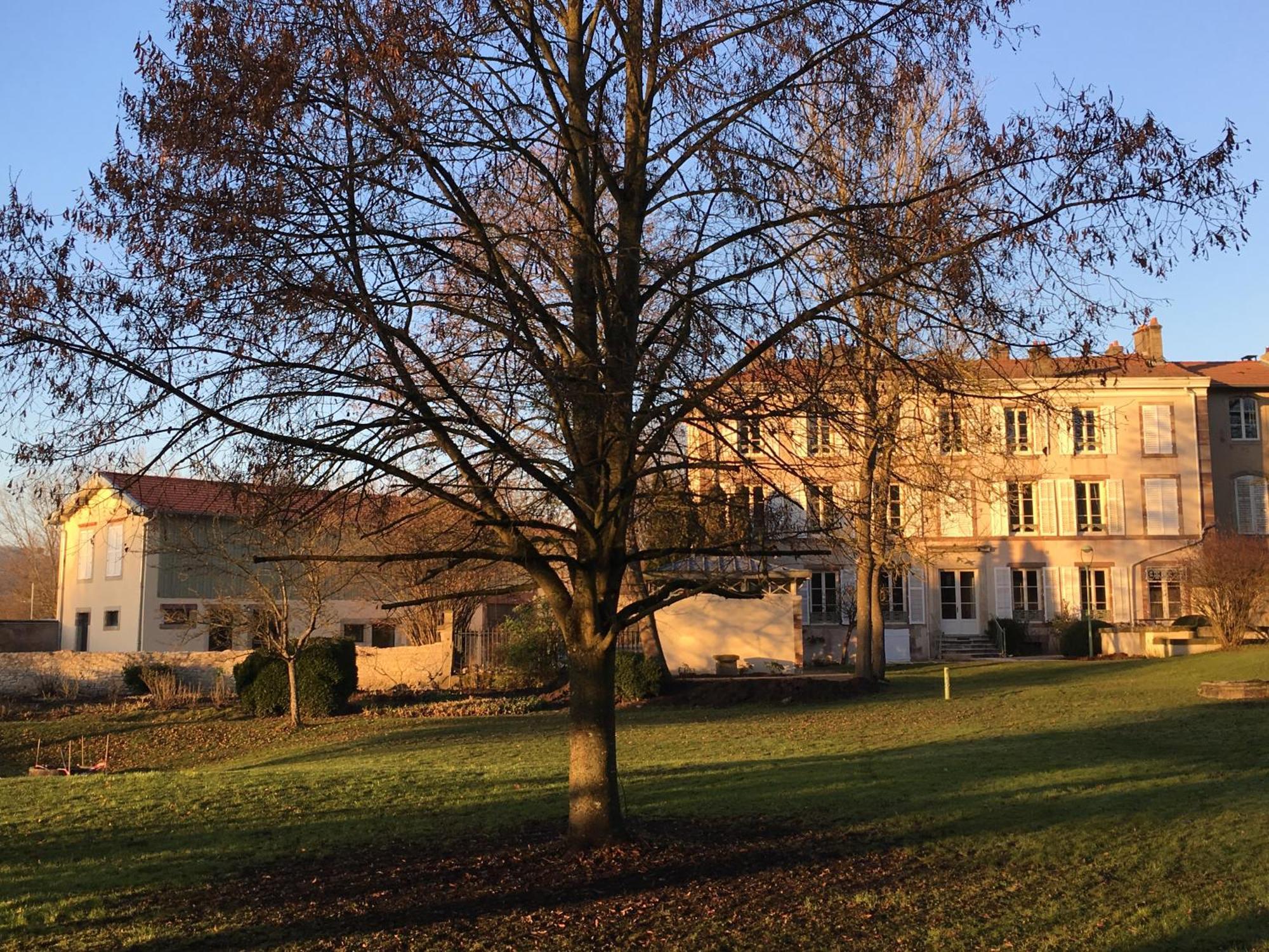 Chambres D'Hotes Le Domaine De Stanislas Lunéville Eksteriør billede